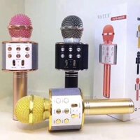 (CHUYÊN SỈ LẺ) MICRO KARAOKE KÈM LOA WSTER WS-858 (MÀU NGẪU NHIÊN) (GIÁ RẺ) hanhshop21