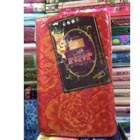 Chuyên sỉ Nệm cao su non 1m6 x2x 5cm(phân) Nhật thẳng không lỗ