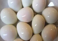 Chuyên trứng cút sạch đã bóc vỏ hàng đẹp giá cả hợp lý