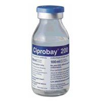 Ciprobay 200mg Bayer 100ml – Nhiễm trùng có biến chứng