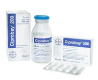CIPROBAY IV Inj 200 MG 100 ml H/1 lọ