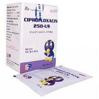 Ciprofloxacin 250-US điều trị viêm đường tiết niệu trên và dưới, lậu  – CÔNG TY CỔ PHẦN NHÀ THUỐC NHÂN DÂN – PHƯỢNG HOÀNG
