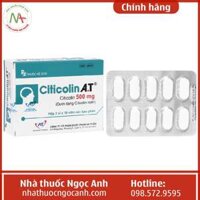 Citicolin A.T 500mg
