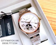 Citizen Automatic PC1009-51W (PC100951W)