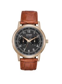 Citizen Eco-Drive AO9003-08E AO900308E