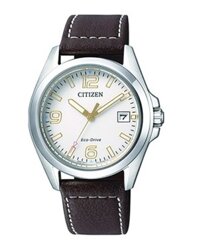 Citizen Eco-Drive Collection FE6030-01A