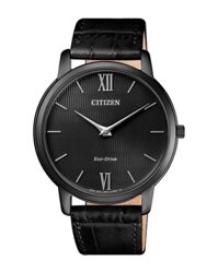 Citizen Eco-Drive Collection AR1135-10E