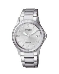 Citizen Eco-Drive Collection FE6050-55A