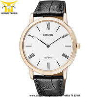 CITIZEN NAM DÂY DA ECO-DRIVE AR1113-12B