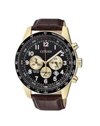 Citizen Oxy AN8162-06E