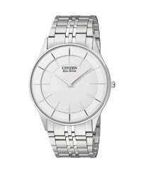 Citizen Stiletto AR3010-65A