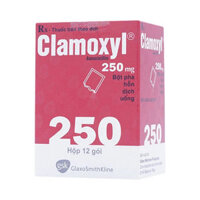 Clamoxyl 250mg điều trị nhiễm khuẩn  – CÔNG TY CỔ PHẦN NHÀ THUỐC NHÂN DÂN – PHƯỢNG HOÀNG