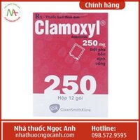 Clamoxyl 250mg