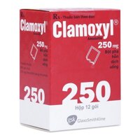 Clamoxyl (amoxicilin 250mg)