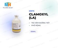 CLAMOXYL LA 250ML