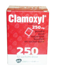 CLAMOXYL SAC 250MG H/12 gói