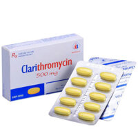 Clarithromycin 500mg, điều trị các nhiễm khuẩn gây ra bởi vi khuẩn nhạy cảm