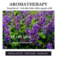 CLARY SAGE essential oil (Germany) - Tinh dầu thiên nhiên nguyên chất 100%