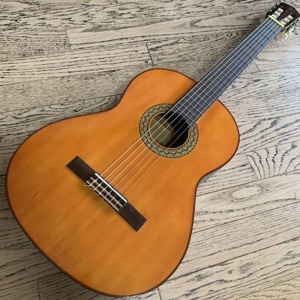 Đàn Guitar Classic Việt Nam G120