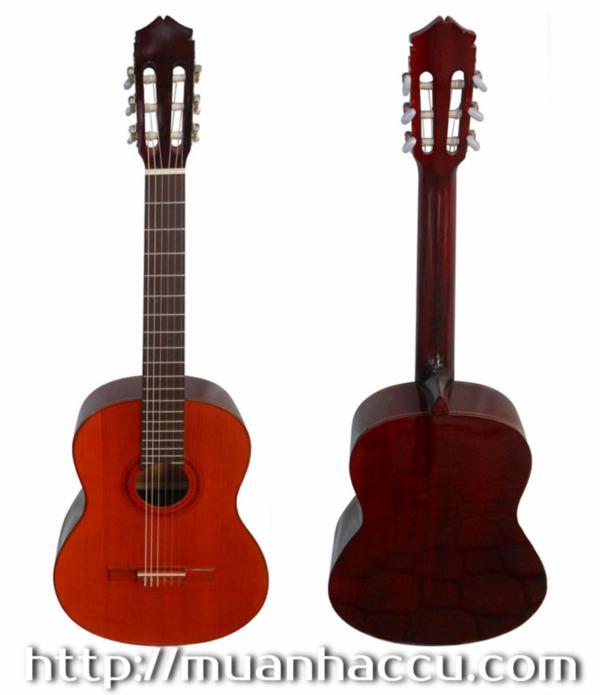 Đàn Guitar Classic Việt Nam G120