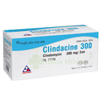 Clindacine 300, thuốc kháng sinh thuộc nhóm lincosamid