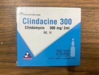 Clindacine 300mg