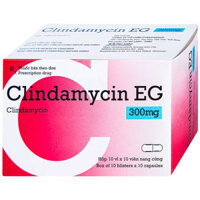 Clindamycin EG 300mg điều trị các bệnh nhiễm khuẩn  – CÔNG TY CỔ PHẦN NHÀ THUỐC NHÂN DÂN – PHƯỢNG HOÀNG