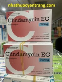 Clindamycin EG 300mg