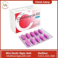Clindamycin EG 300mg
