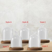 Cloche Bell Jar Đường kính 9cm Vỏ trong suốt để bàn Hộp trưng bày có khay gỗ cho đầu giường trang trí
