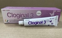 CLOGINAL 3 (Clotrimazol 2%) điều trị nhiễm nấm âm đạo