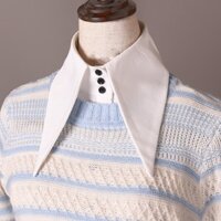 Cổ Áo Sơ Mi Giả Cài Nút Màu Trắng Phong Cách Vintage Tùy Chỉnh Tiện Dụng Cho Nữ