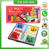 Cờ Cá Ngựa Nam Châm