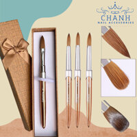 Cọ Đắp Bột KOLINSKY Cán Nhôm 99% Lông Thú, Cọ Đắp Phom Móng Bột Bấm Sẵn Đầu Cọ Chanh Nail