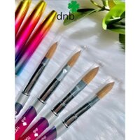 Cọ đắp bột Kolinsky DNB Nail - Đủ Size