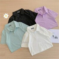 [CÓ HÌNH THẬT] ÁO THUN CỔ POLO CROPTOP FORM BODY