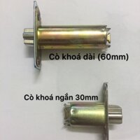 Cò khóa cửa phòng - ngắn