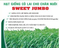 Cỏ Lai Cho Chăn Nuôi Sweet Jumbo USA _Gói 100gram .