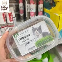 Cỏ mèo tươi - hạt giống cỏ mèo bạc hà cao cấp