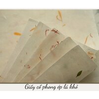 [CỔ NGHỆ THƯƠNG PHẨM] Giấy cổ phong ép cùng lá khô (hoa thảo tuyên chỉ)