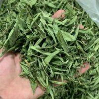 Cỏ ngọt stevia khô uống cùng trà thay đường 0,5kg