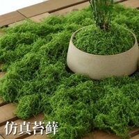 Cỏ Nhân Tạo Rêu Xanh Mô Phỏng Vi Cảnh Quan Chậu Hoa Lát Trang Trí Cảnh Quan Mô Phỏng Cây Xanh Trong Nhà Và Ngoài Trời
