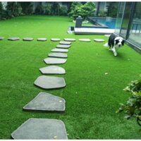 Cỏ nhân tạo ,Thảm nhựa trải sàn cao 2cm (com bo 2m x13m,x14m),.Thảm cỏ nhựa sân vườn