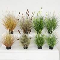 Cỏ nhân tạo thỏ đuôi cỏ sâu bướm cỏ cỏ giả cảnh quan cây cỏ phong cảnh cỏ Afutre burush sậy pampas cỏ trang trí cảnh quan trang trí đám cưới Cảnh quan cây giả decor