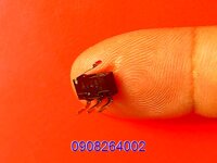 CỔ PÔ INOX 304 GẮN CHO XE HONDA WINNER