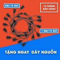 [CÓ QUÀ TẶNG] COMBO dây đui đèn trang trí pingpong trang trí ngoài trời/phòng ngủ - Tặng kèm dây nguồn 1.8m