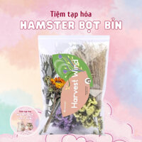 [CÓ SẴN] Cành cắm Niteangel, hoa cắm Niteangel hoa khô trang trí chuồng hamster