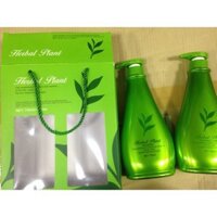 [CÓ SẴN] Dầu gội Trà Xanh Herbal Plant 750ml (Tặng kèm xả 750ml) Tiện Lợi