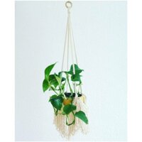 [CÓ SẴN] Giỏ treo cây tua rua, dây treo cây cotton