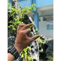 [Có sẵn] [Siêu Sale] [Ảnh thật] =Ống hít thông mũi bạc hà Thái Lan Chính Hãng